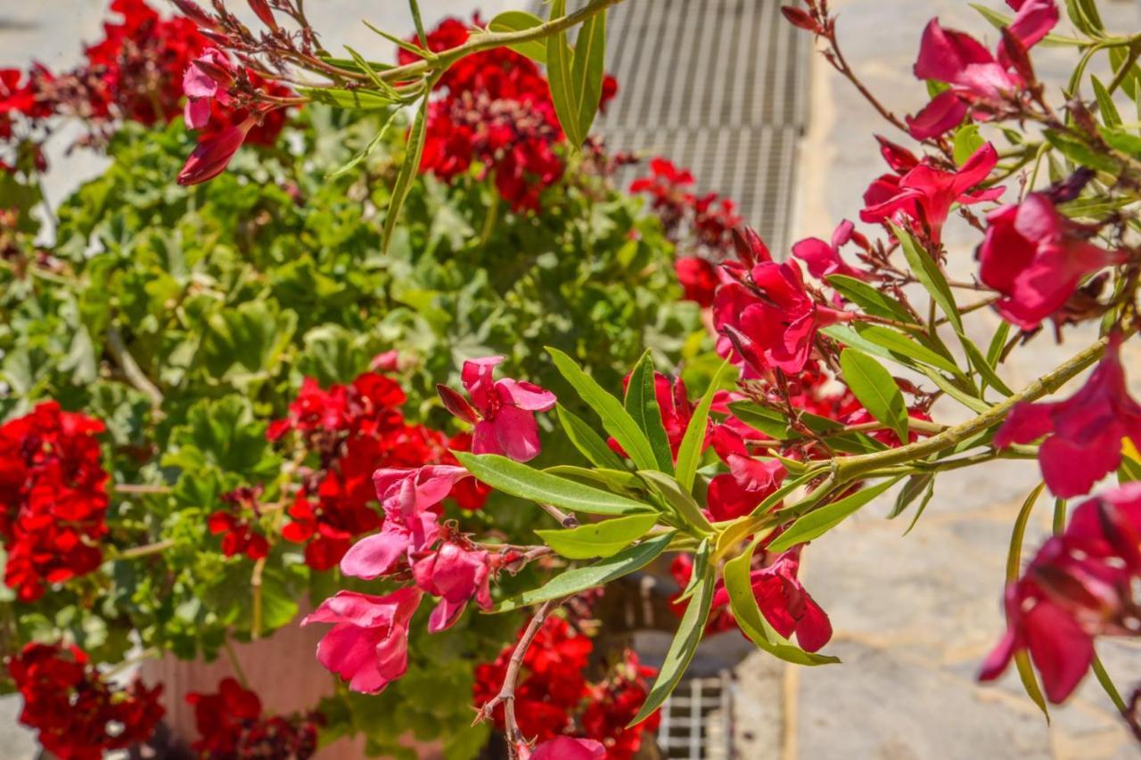 Emilia'S Little Farmhouses Agioi Anargyroi  Exterior foto
