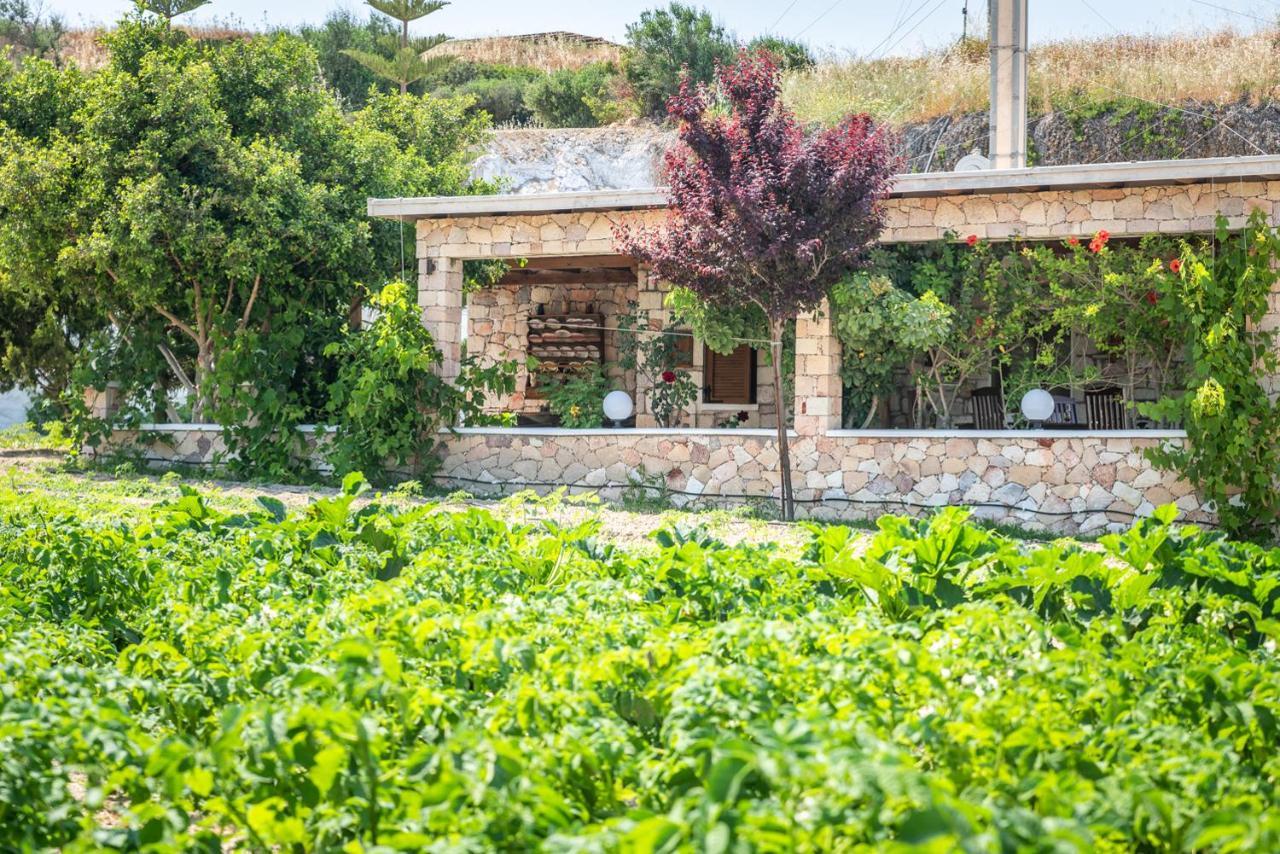 Emilia'S Little Farmhouses Agioi Anargyroi  Exterior foto